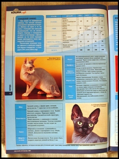 Журнал Кошки-info